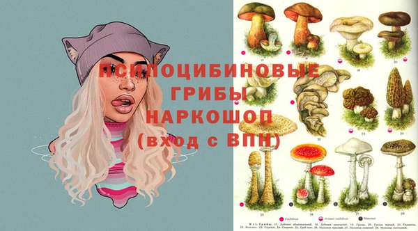МДПВ Алексеевка
