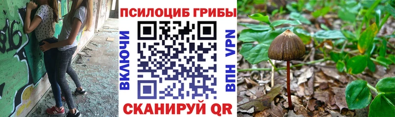 Галлюциногенные грибы ЛСД  omg рабочий сайт  Шацк 