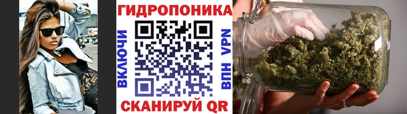 цены наркотик  Шацк  Марихуана семена 